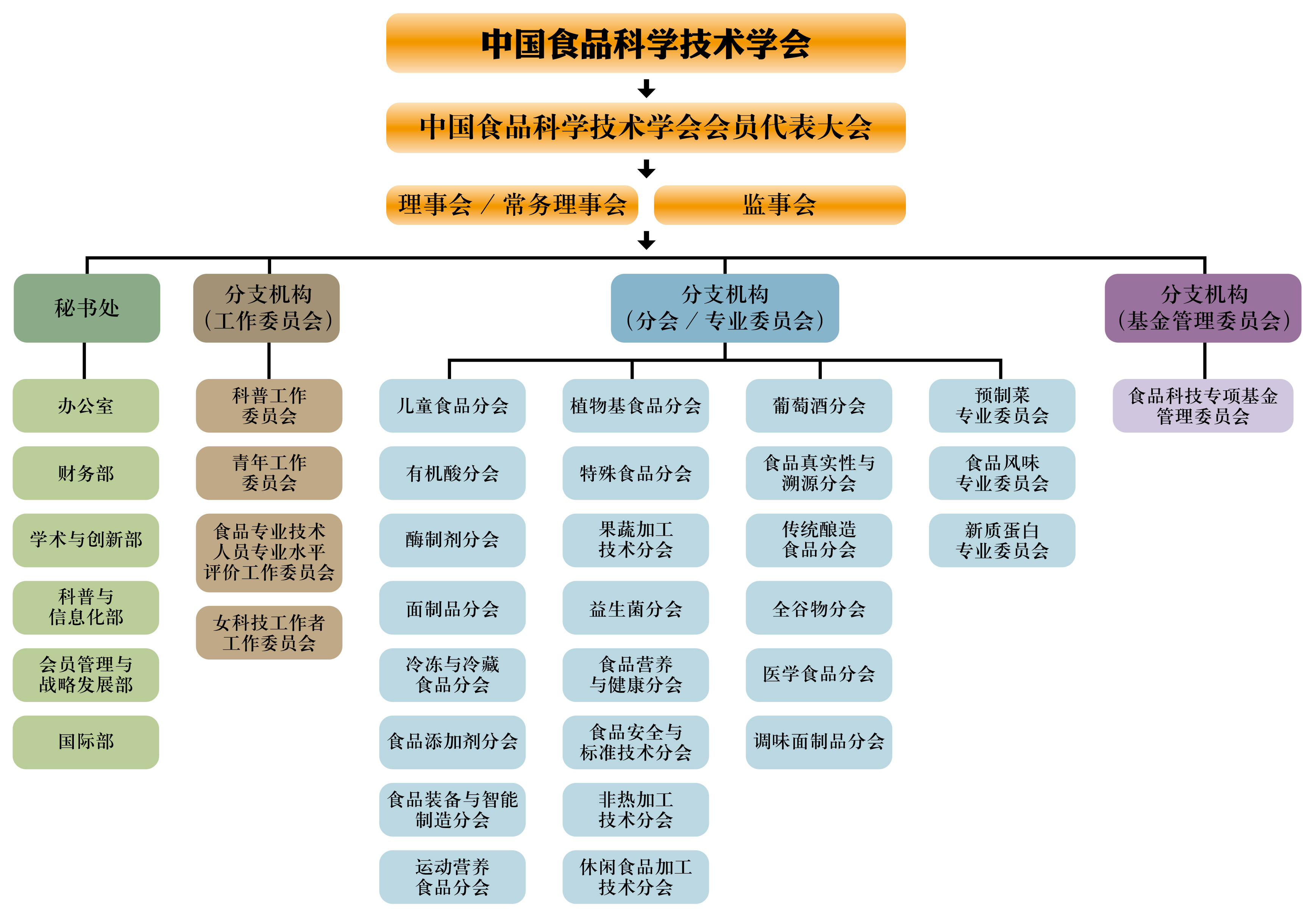 2026组织结构图